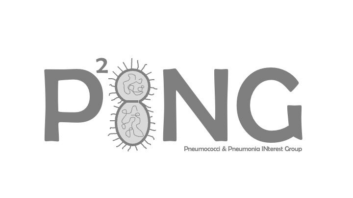 PING logo